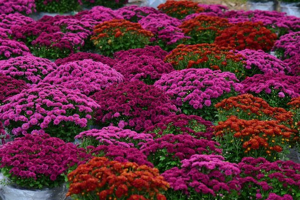 Innovations écoresponsables pour vos travaux maison et bricolage